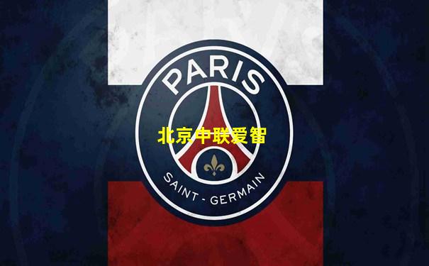 北京中联爱智