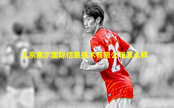北京赛尔国际信息技术有限公司怎么样