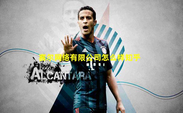 赛尔网络有限公司怎么样知乎