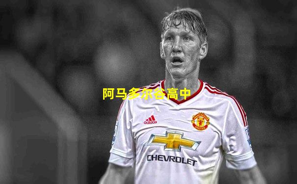 阿马多尔谷高中