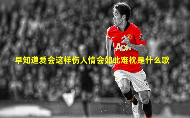 早知道爱会这样伤人情会如此难枕是什么歌